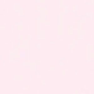 Meet your Posher, Molly